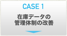 CASE1 ߸˥ǡδβ
